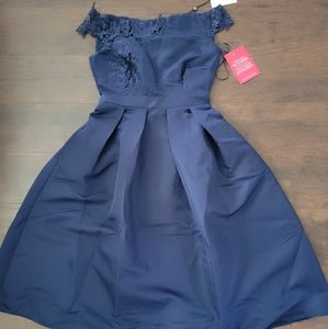 Asos A line Navy dress
